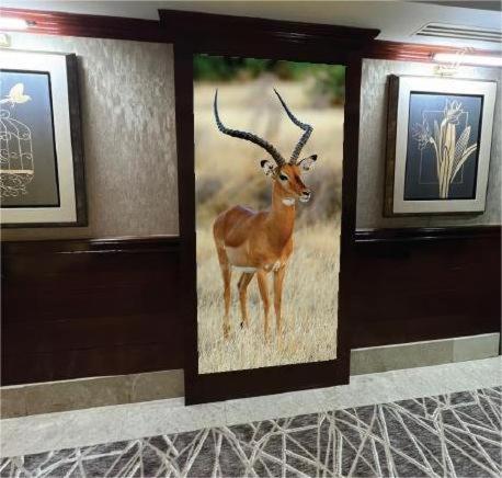 Queen Palace Hotel Abou Dabi